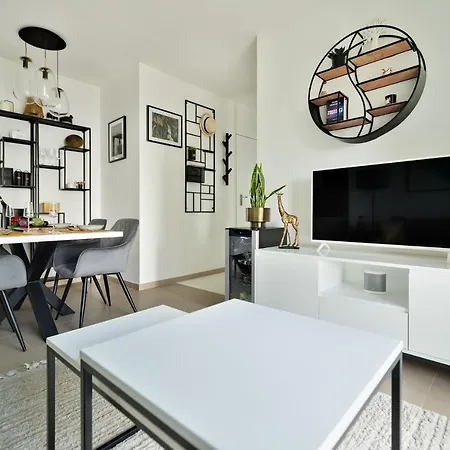 Intempo Gold&gris 베니돔