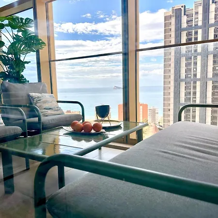 Intempo Gold&gris 베니돔